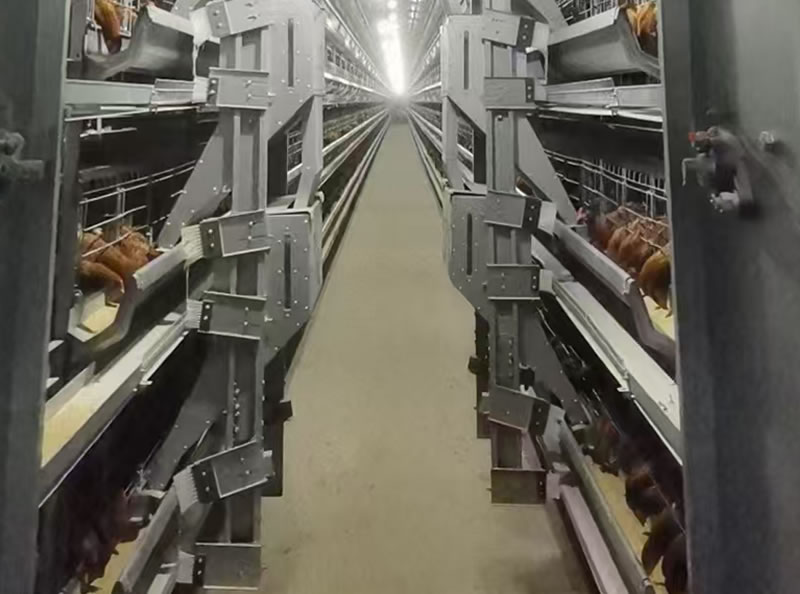 六层蛋鸡笼