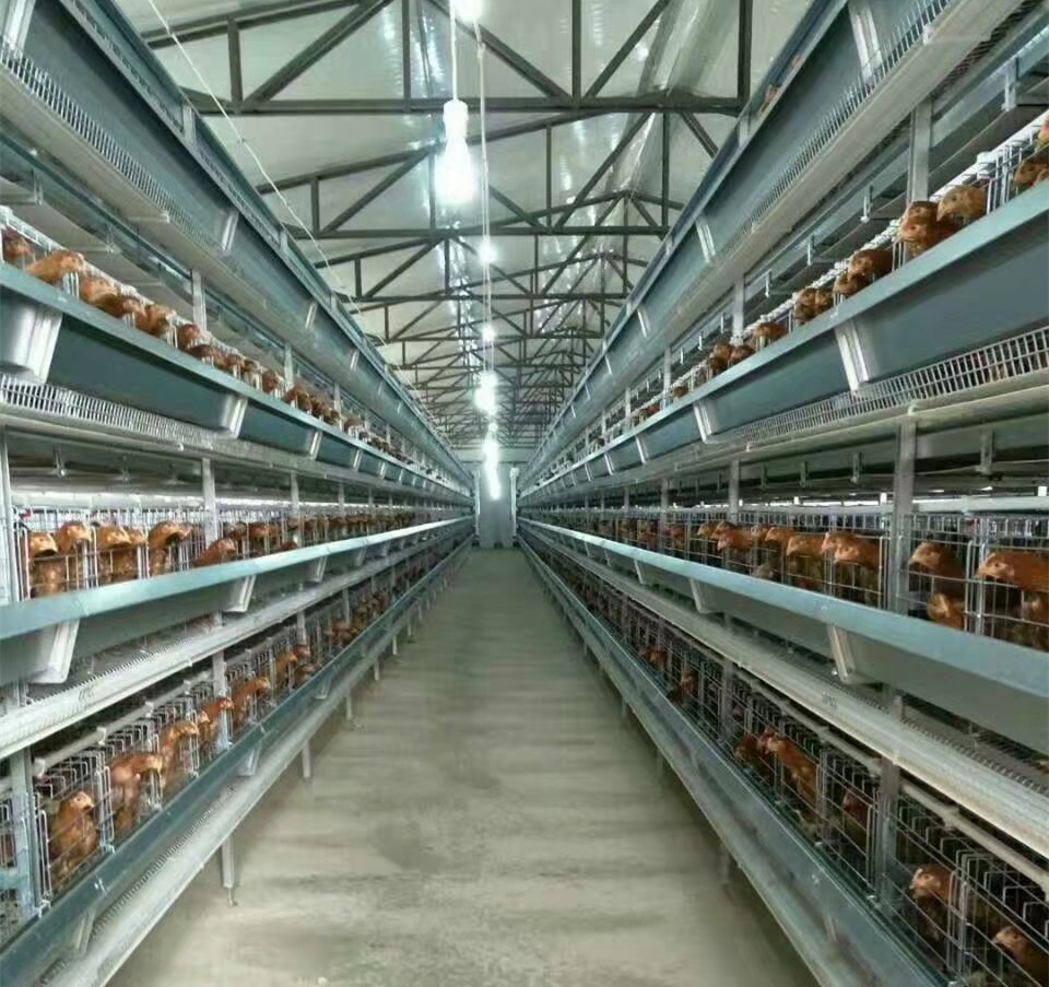 层叠蛋鸡笼_副本_副本
