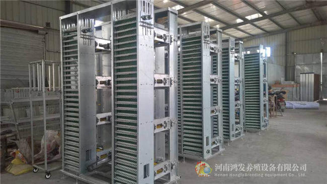 自动捡蛋机,捡蛋机生产厂家,自动捡蛋设备