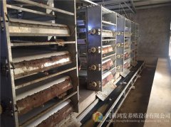 自动清粪机|养鸡自动清粪机|