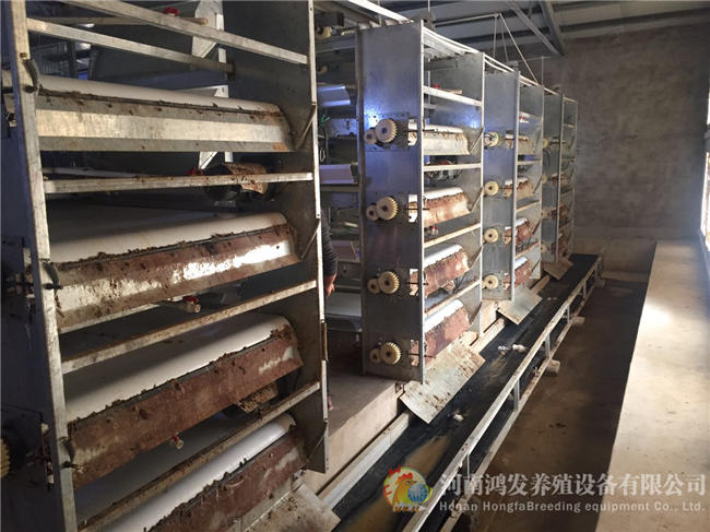 自动清粪机,养鸡自动清粪机,养殖场专用清粪机