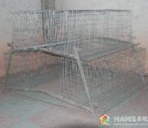 公母混养笼
