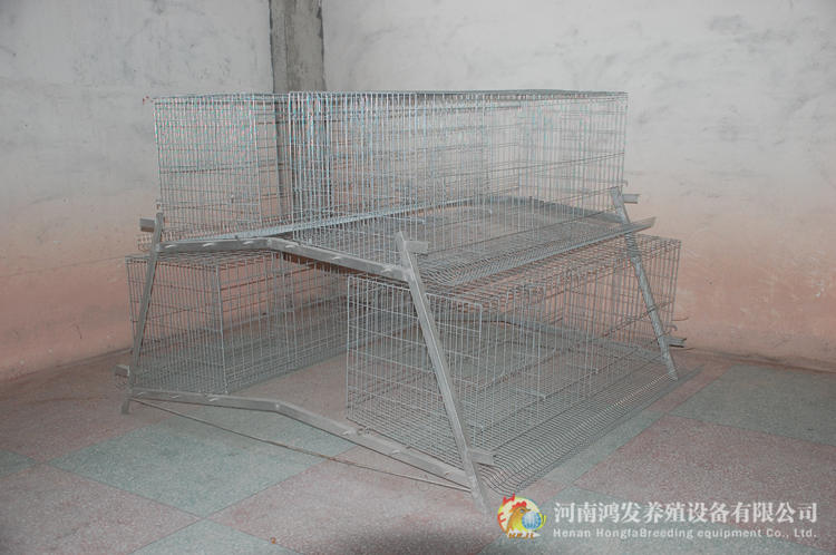 种鸡笼,养鸡设备,鸡笼价格