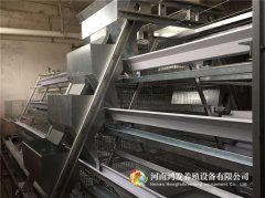 自动喂料机