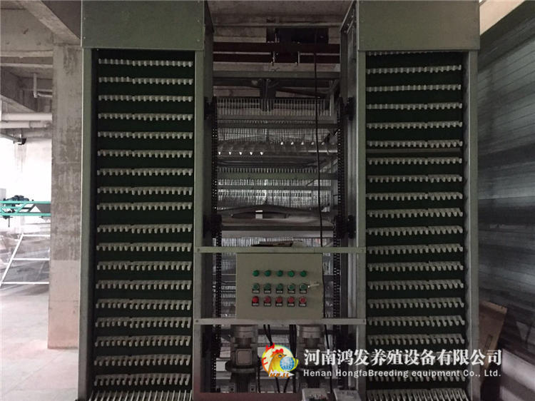 自动捡蛋机,养鸡设备,河南鸿发