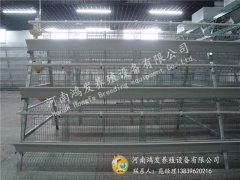 三层蛋鸡笼