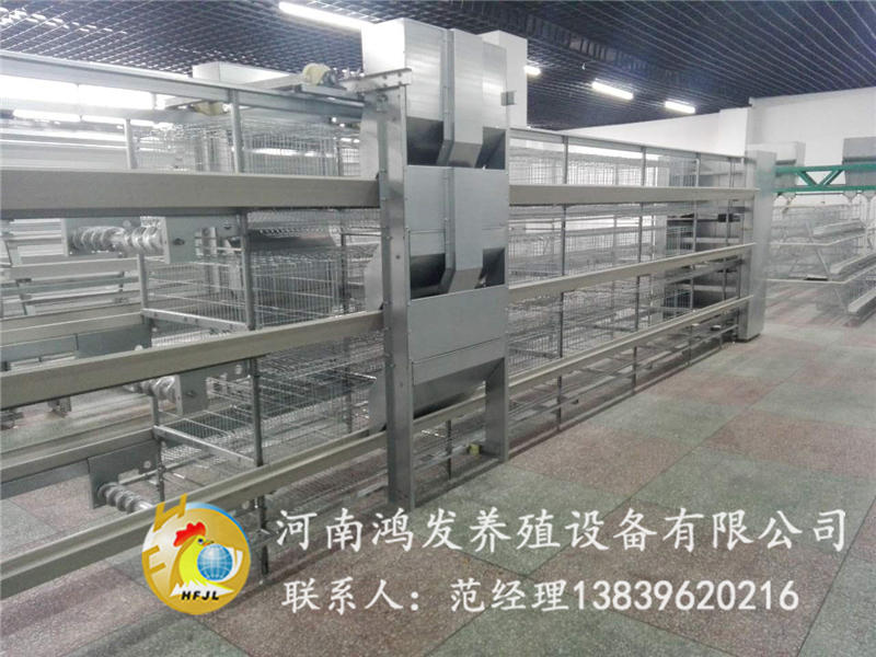 蛋鸡笼,鸡笼,鸿发养鸡设备