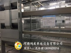 层叠蛋鸡笼