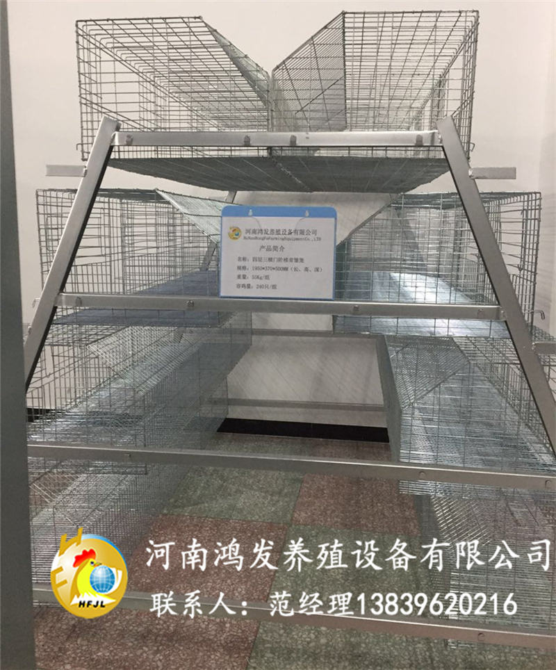 育雏笼,阶梯育雏笼,小鸡育雏笼