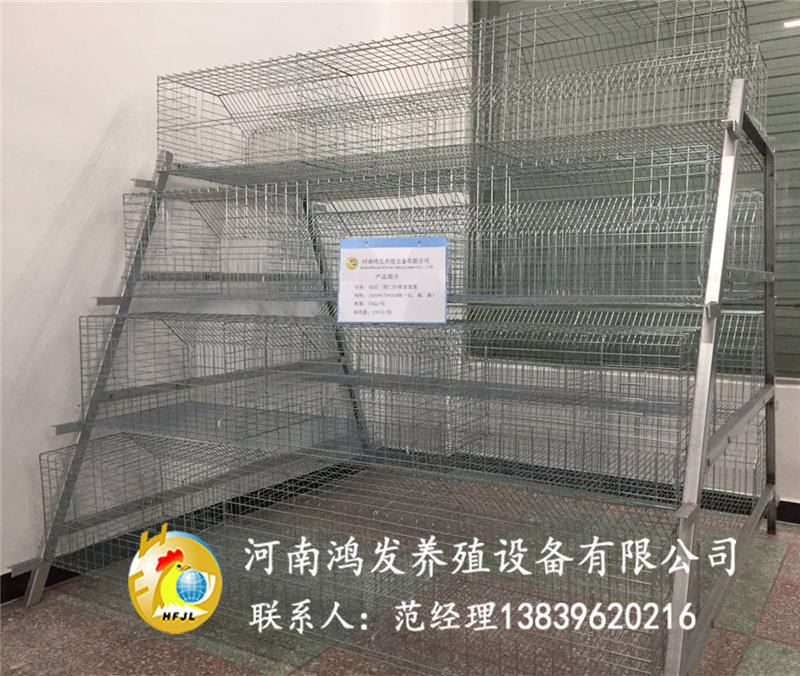 育雏笼,阶梯育雏笼,小鸡专用育雏笼