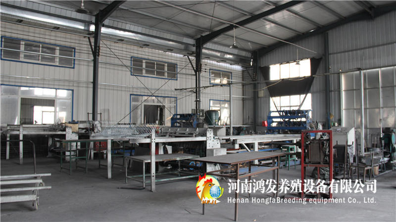自动喂料设备,鸡笼,养鸡设备