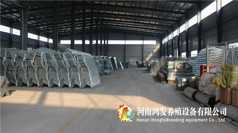 自动喂料设备,鸡笼,养鸡设备