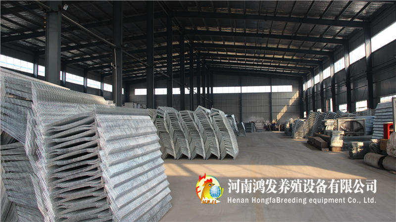 自动喂料设备,鸡笼,养鸡设备