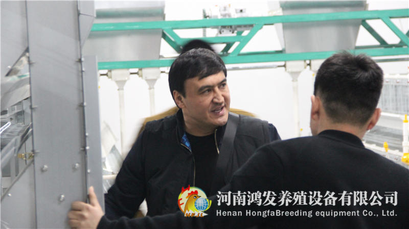 鸡笼,养鸡设备