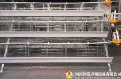 三层阶梯蛋鸡笼