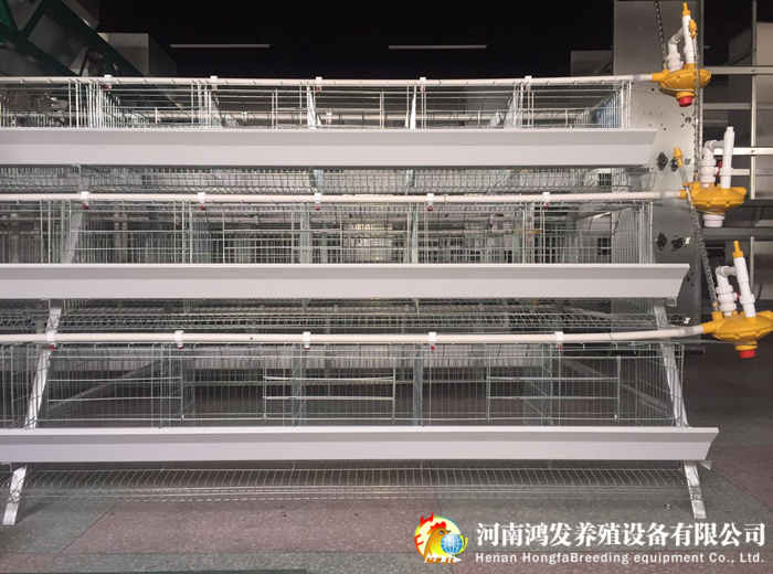 鸡笼,蛋鸡笼,鸡笼生产厂家,阶梯蛋鸡笼