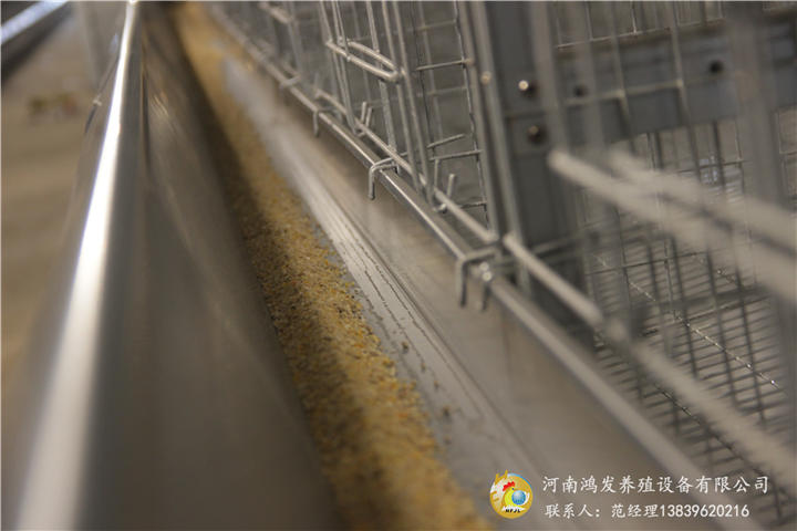 自动喂料设备,自动喂料机,鸡用自动喂料机