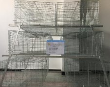 肉鸡笼